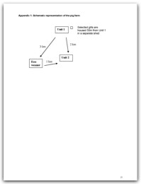 2005 page 25
